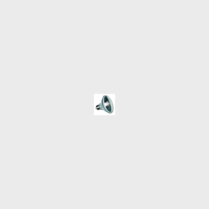 Reflektor HI 95 75W E27