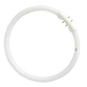FC cirkul�re lysstofr�r 16 mm T5 22/865 2GX13  (5651233153)
