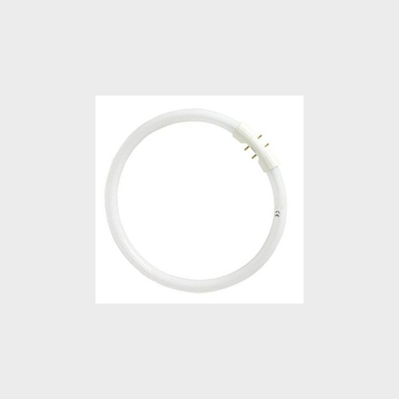 FC cirkul�re lysstofr�r 16 mm T5 22/840 2GX13  (5651232154)