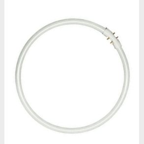 FC cirkul�re lysstofr�r 16 mm T5 40/865 2GX13  (5651343166)