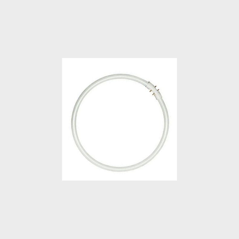 FC cirkul�re lysstofr�r 16 mm T5 55/865 2GX13  (5651343176)