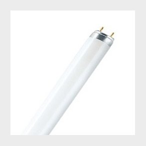 Lysr�r T8 15/830 G 13  (5651153178)