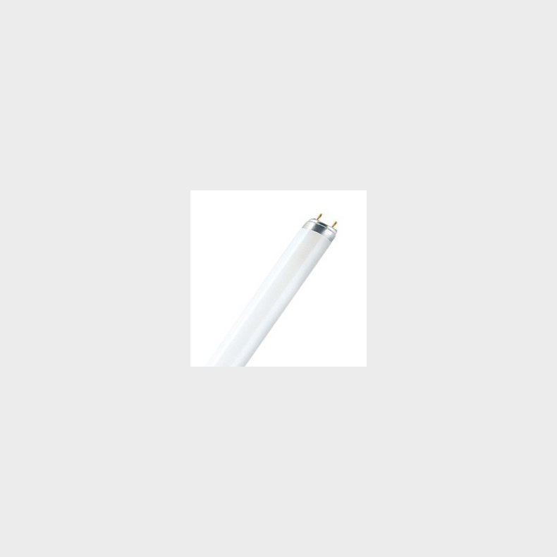 Lysr�r T8 15/830 G 13  (5651153178)