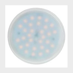 LED GX53 3W 2700/450lm