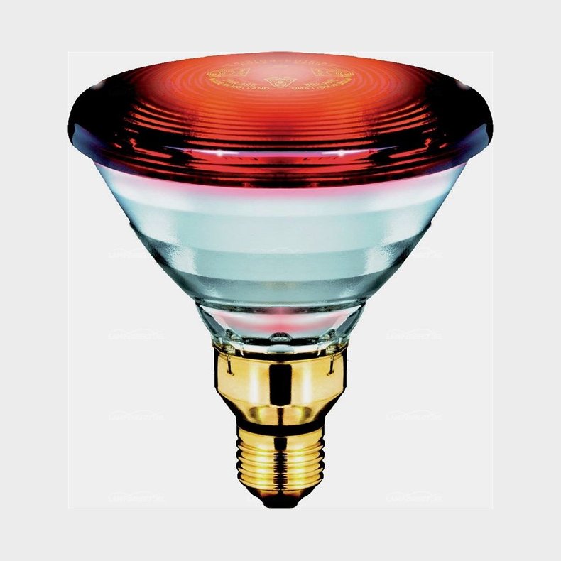 Varmep�re [presglas] Infrar�d 100W E27
