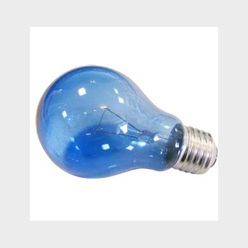 Dagslysp�re 60W E27