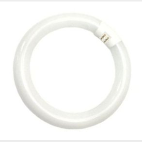 Cirkul�re lysstofr�r T9 C  22/840 G10Q  (5651222177)