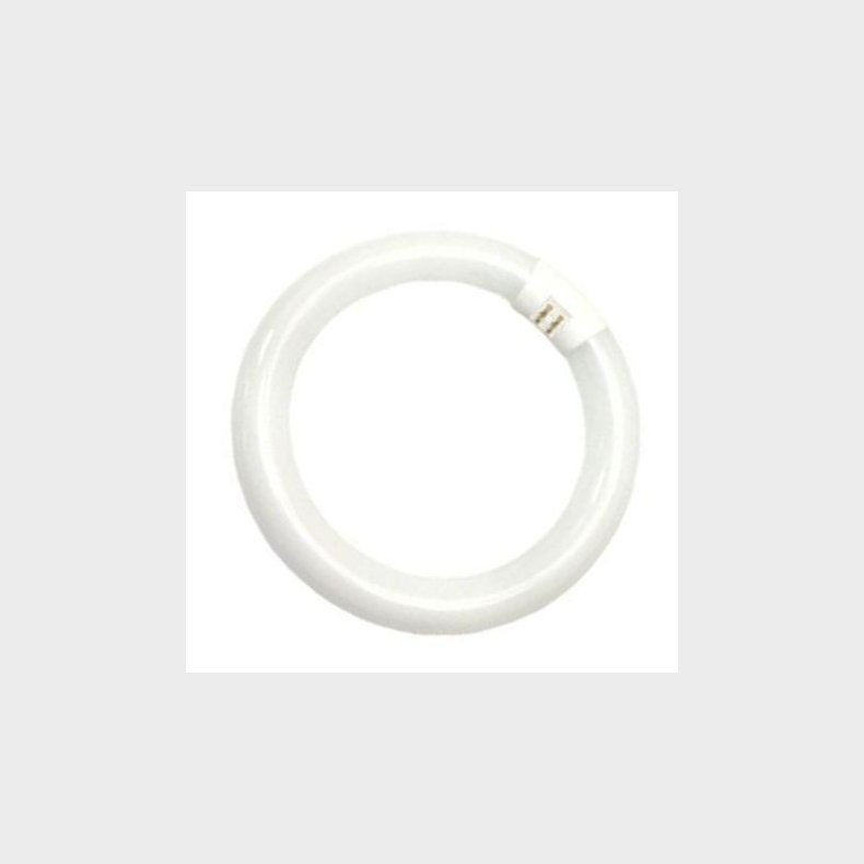 Cirkul�re lysstofr�r T9 C  22/827 G10Q  (5651224175)
