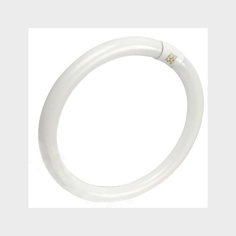 Cirkul�re lysstofr�r T9 C  32/827 G10Q  (5651324172)