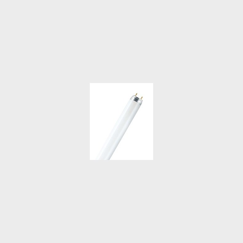 Lysr�r T8 70/840 1764mm  