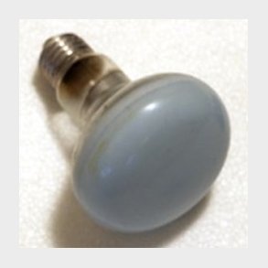 Reflektor Gro-lux R80  60W E27