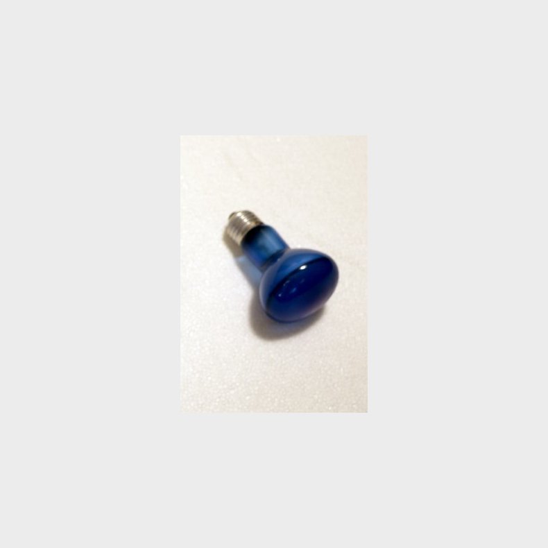 Reflektor Neod. R63 60W E27