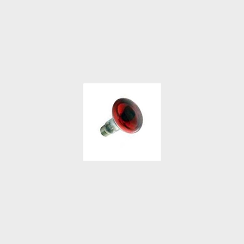 Reflektor R80 60W R�d E27