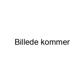 Lavenergip&aelig;rer