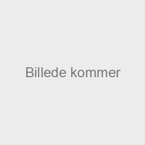 Cirkul�re lysstofr�r  T9 C 40/830 G10Q