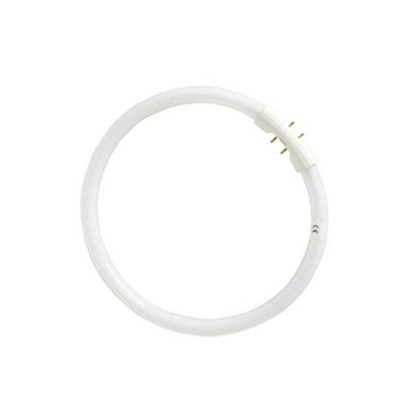 FC cirkul�re lysstofr�r 16 mm T5 22/865 2GX13  (5651233153)