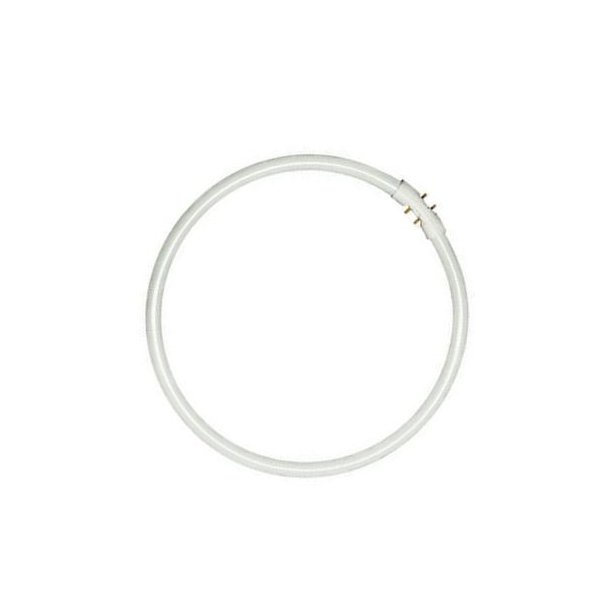 FC cirkul�re lysstofr�r 16 mm T5 40/865 2GX13  (5651343166)