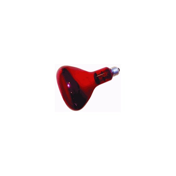 Varmep�re [infra] R�d 175W E27