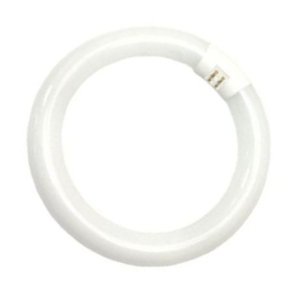 Cirkul�re lysstofr�r T9 C  22/840 G10Q  (5651222177)