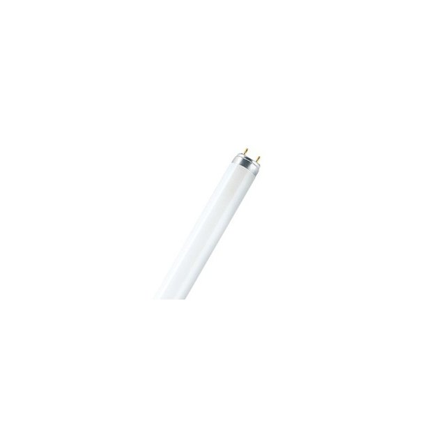 Lysr�r T8 70/840 1764mm  
