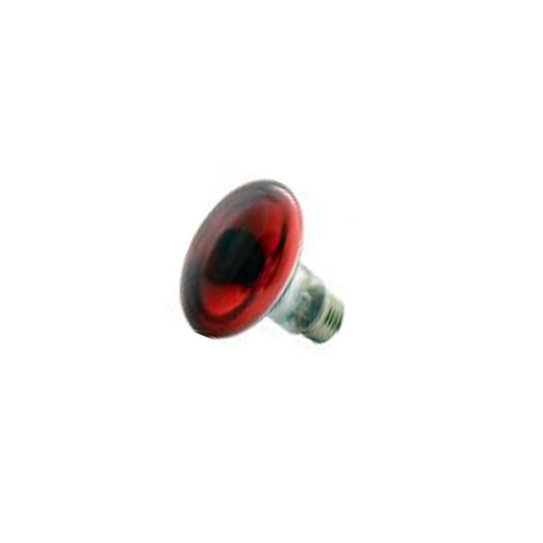 Reflektor R80 60W R�d E27